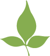 Badge Icon